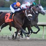 A Significant Value Play for the 2026 Prairie Meadows Cornhusker Handicap